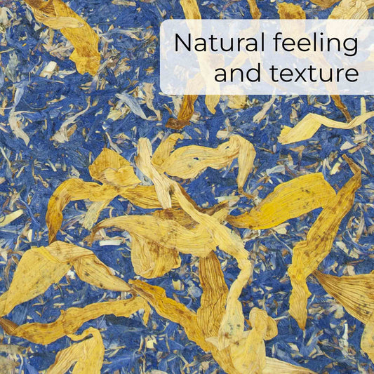 Summer Sky Phone Case