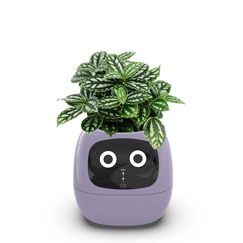 BloomSmart AI Flower Pot – Self-Watering Smart Planter