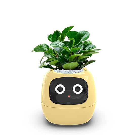 BloomSmart AI Flower Pot – Self-Watering Smart Planter